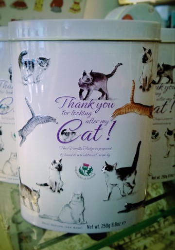 WP_20140112_01820140112160410