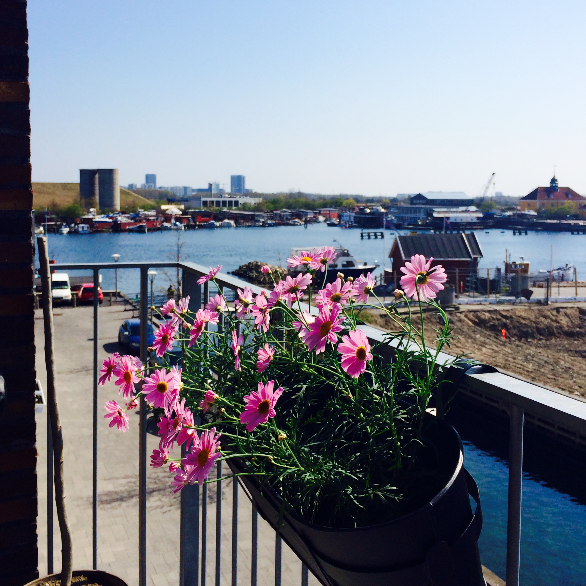 View from my balcony towards the watergate