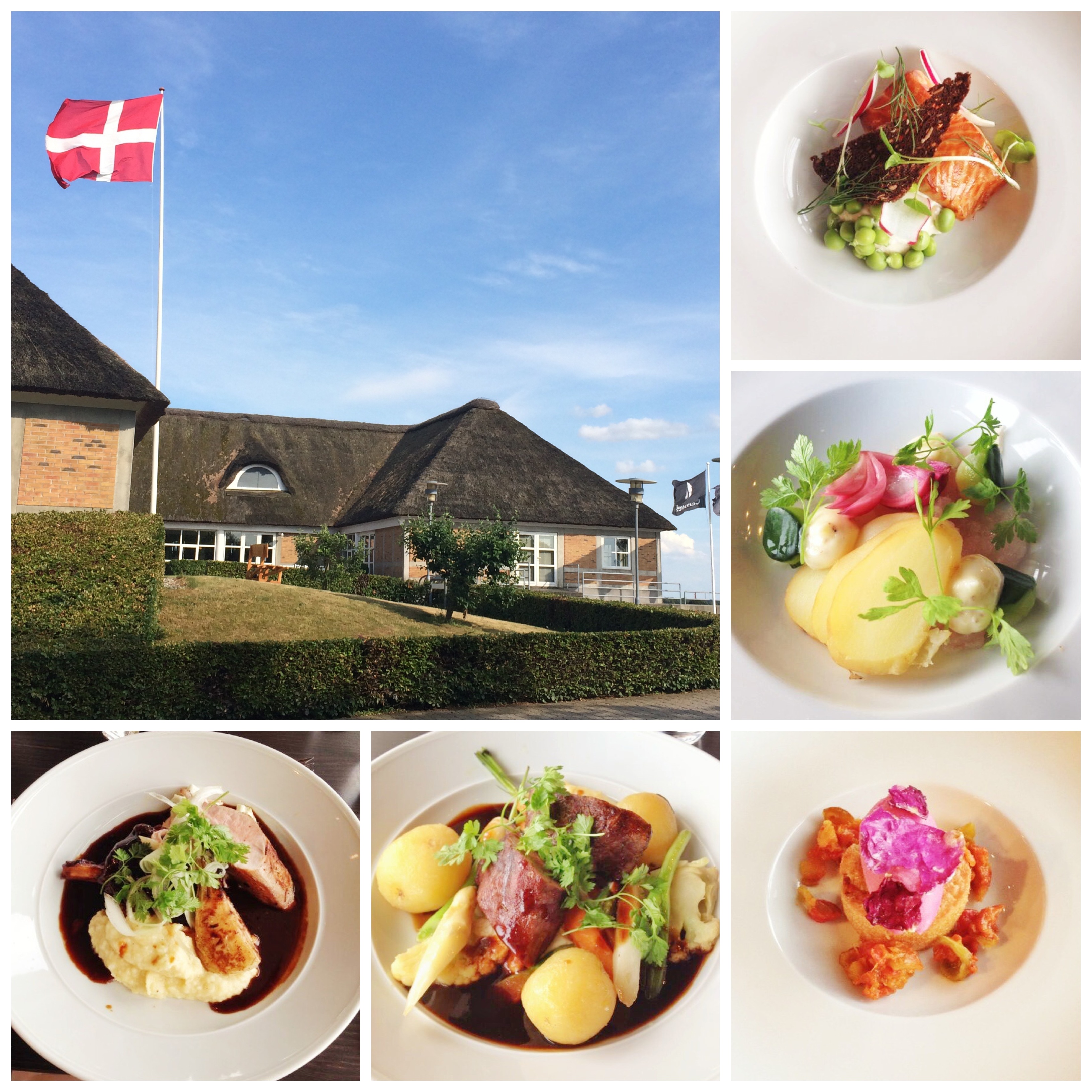 Our delicious dinner